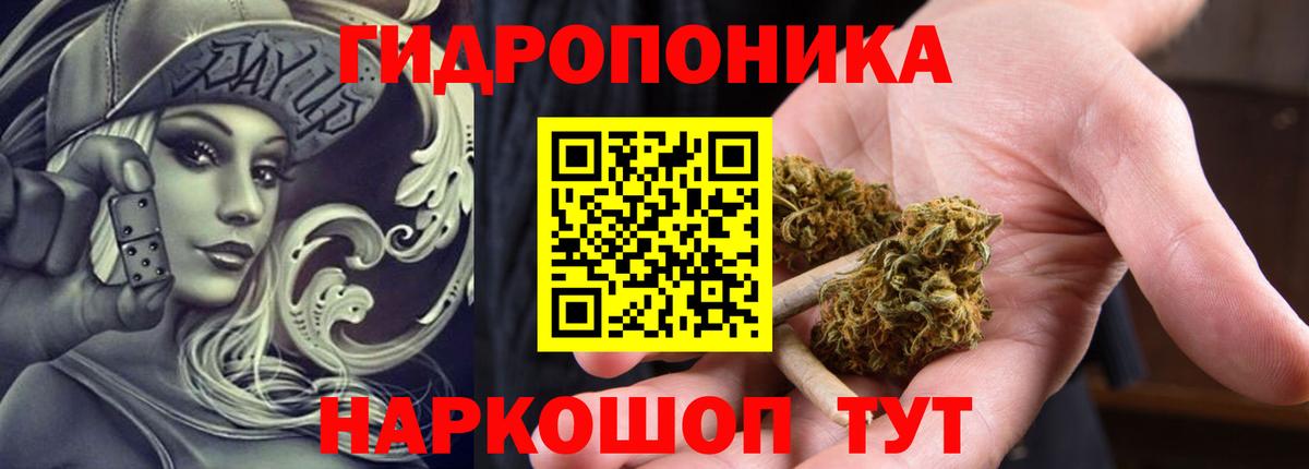 Конопля марихуана  Конопля сатива  Каннабис гибрид  Вход с VPN  Коммунар 